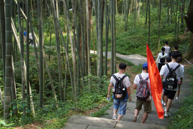 william威廉中文官网